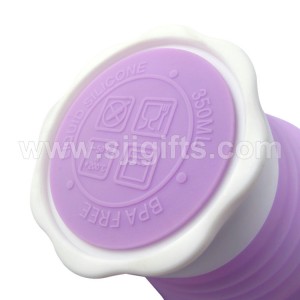 Silicone Collapsible Cup