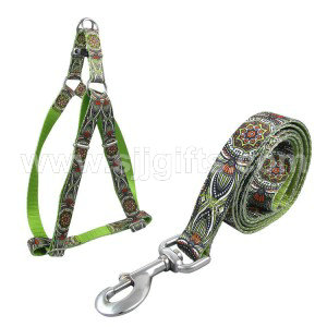 Dog Leashes And Collars