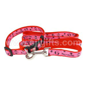 Dog Leashes And Collars