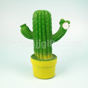 Novelty Night Lights