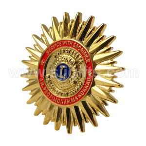 Lion Club International Pin