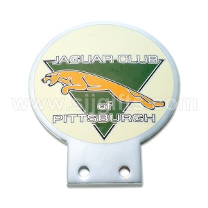 Factory best selling China Custom Metal Car Logo Chrome Badge Car Emblem