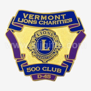 Lion Club International Pin