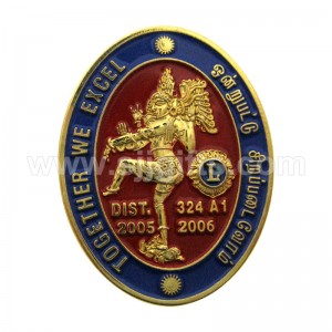 Lion Club International Pin