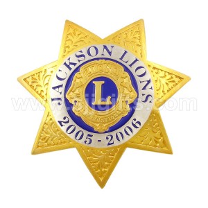 Lion Club International Pin