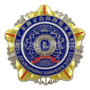 Lion Club International Pin