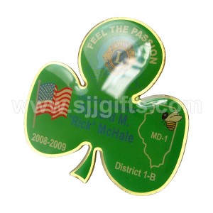 Lion Club International Pin