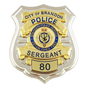 Military Badges and Pins