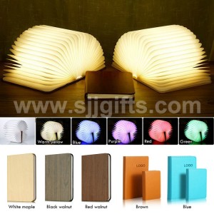 Novelty Night Lights